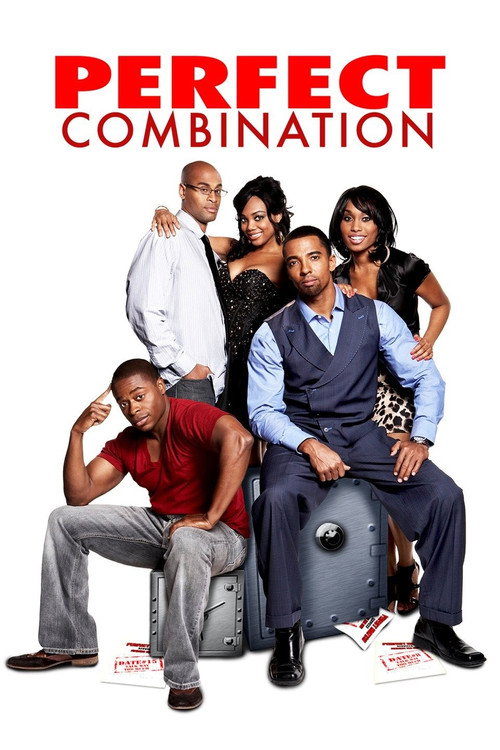 Movie poster for Perfect Combination (2010)