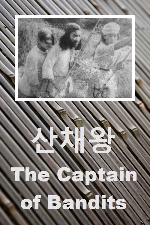 Movie poster for The Captain of Bandits (1926)