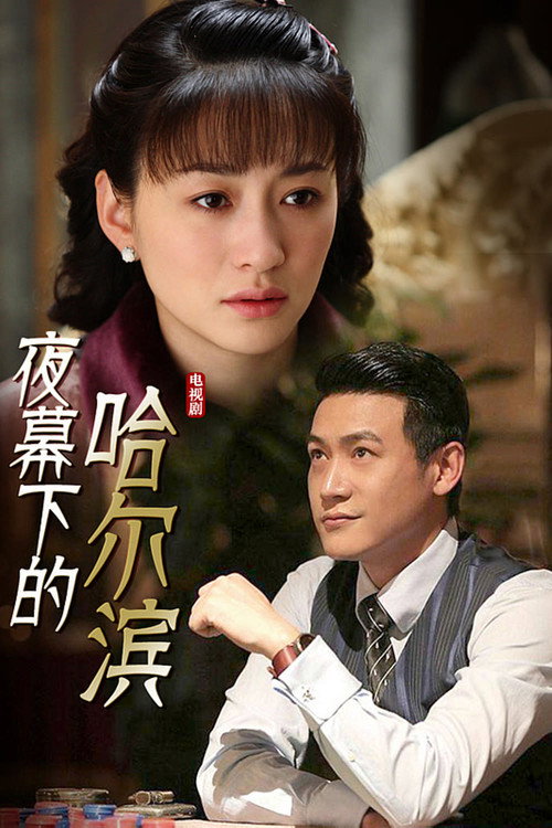 Series poster for 夜幕下的哈尔滨 (2008)