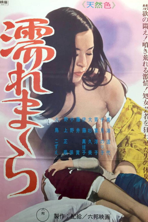 Movie poster for The Secret Story of the Onsen Geisha: Wet Pillow (1969)