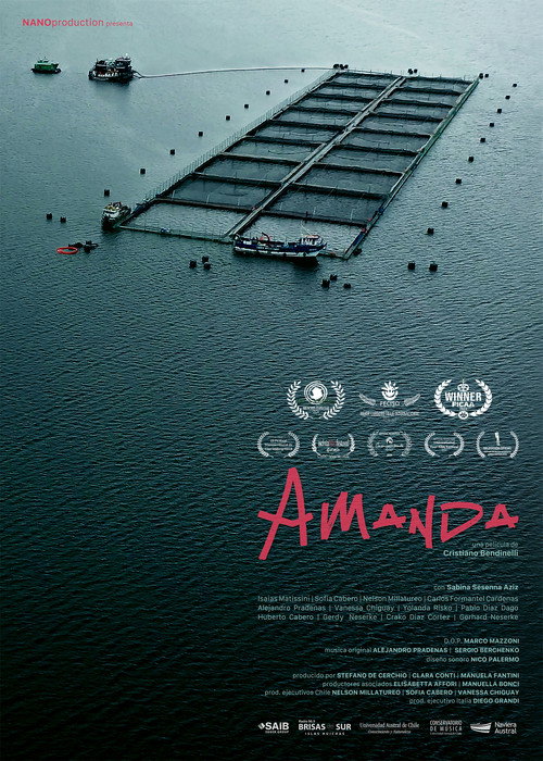 Movie poster for Amanda (2023)
