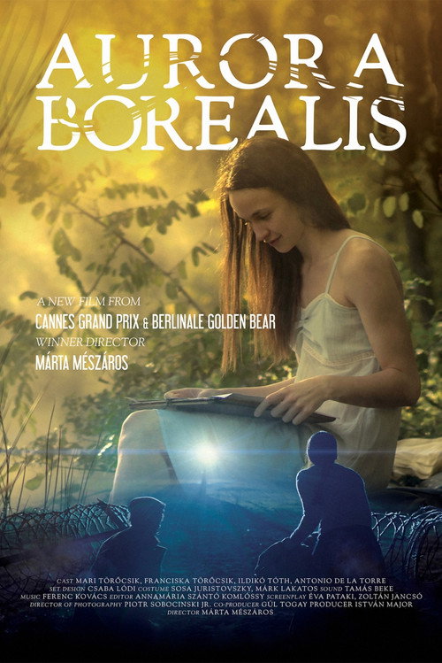 Movie poster for Aurora Borealis: Northern Light (2017)