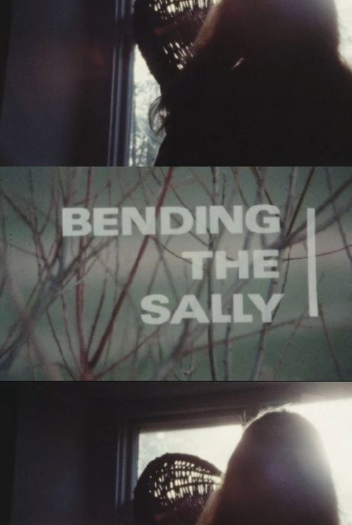 Movie poster for Bending the Sally (1985)