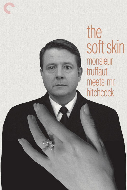 Movie poster for Monsieur Truffaut Meets Mr. Hitchcock (1999)