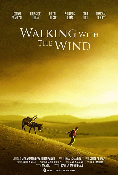 Movie poster for Walking With the Wind (2017)