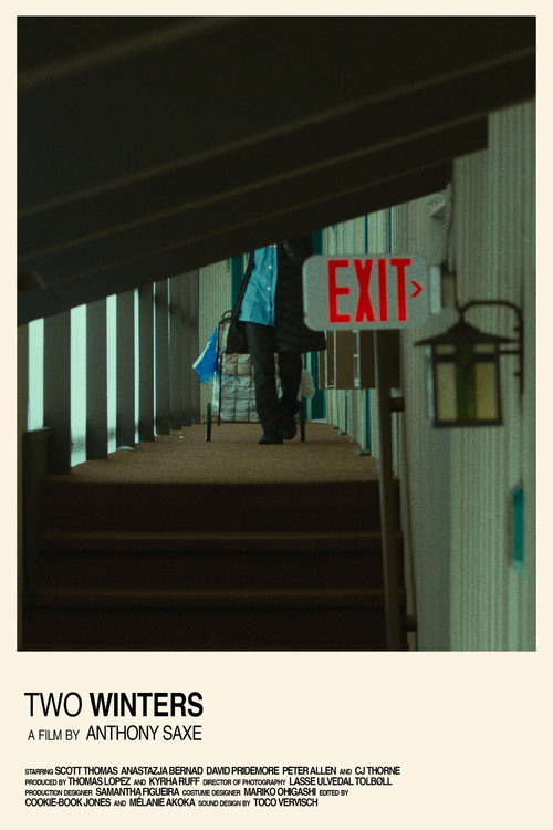 Movie poster for Two Winters (2020)