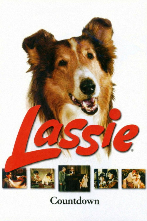 Movie poster for Lassie: Countdown