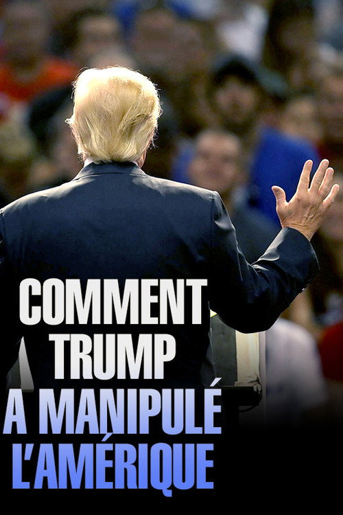 Movie poster for Fake America Great Again (2018)