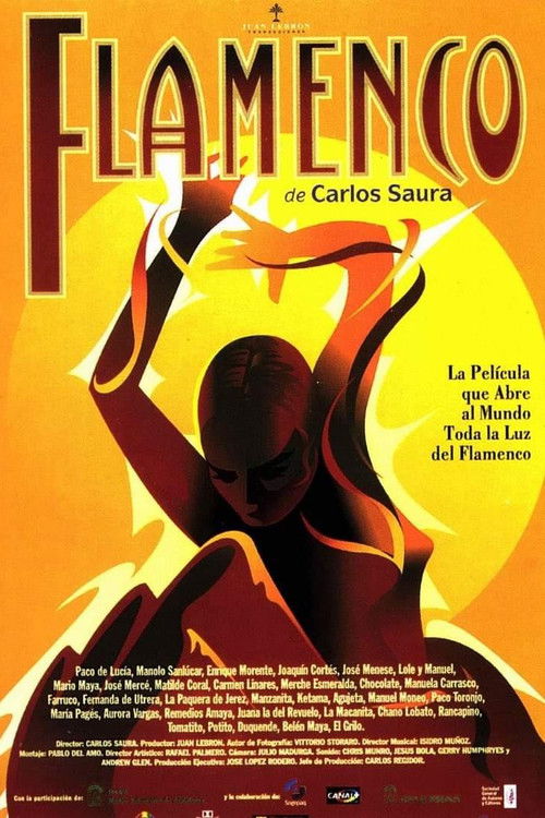 Movie poster for Flamenco (1995)