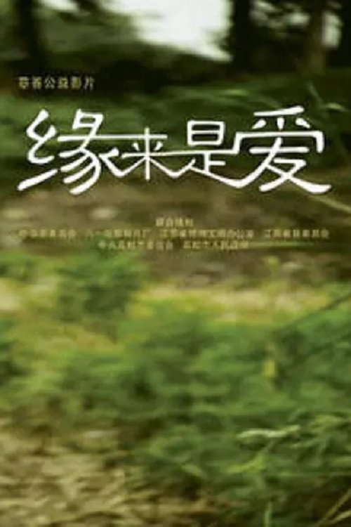 Movie poster for Blessed Destiny (2009)