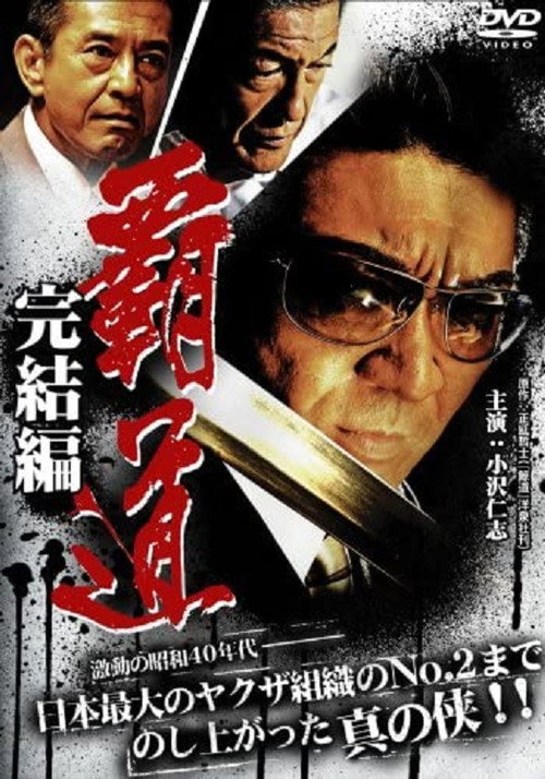 Movie poster for Domination Final Chapter (2008)