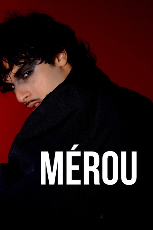 Movie poster for Mérou (2025)