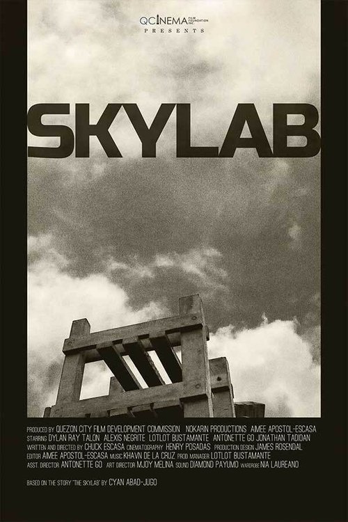 Movie poster for Skylab (2021)
