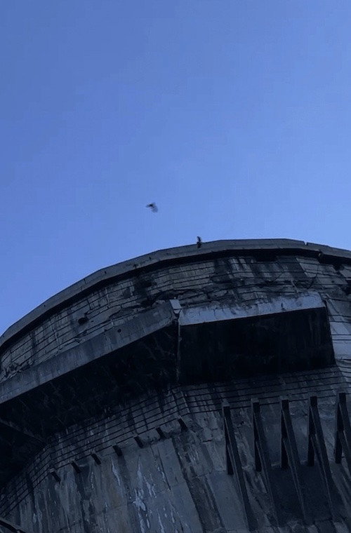 Movie poster for Death is coming (2022)