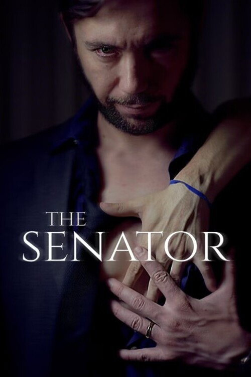 Movie poster for The Senator (2024)