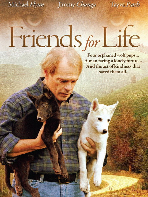 Movie poster for Friends for Life (2008)