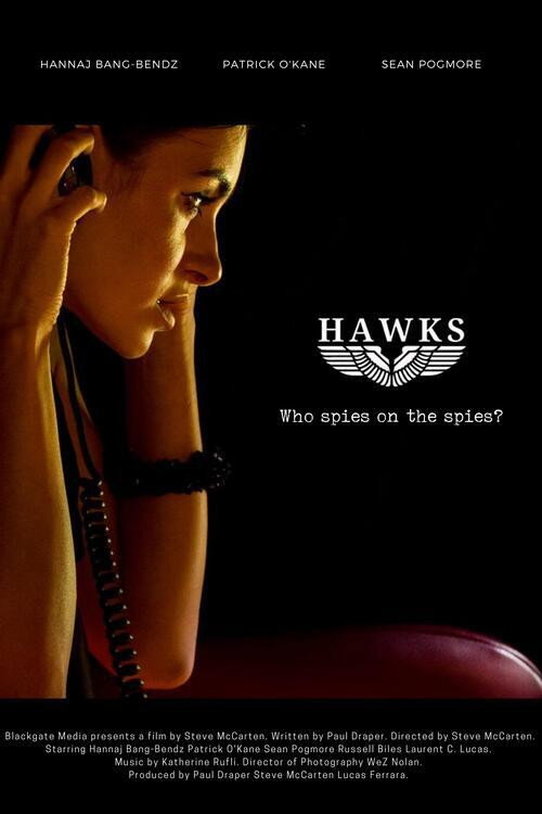 Movie poster for Hawks (2023)
