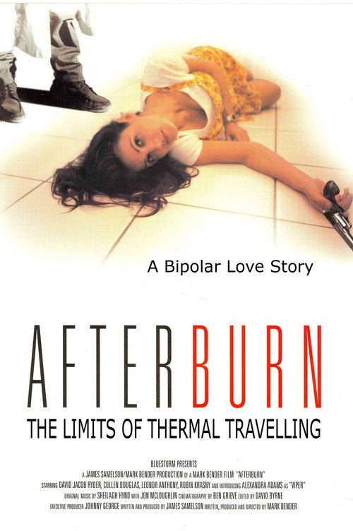 Movie poster for The Limits of Thermal Travelling (1995)
