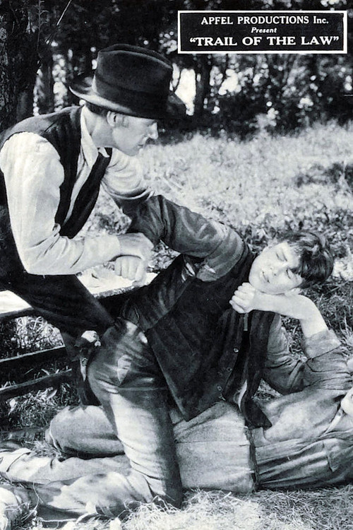Movie poster for The Trail of the Law (1924)