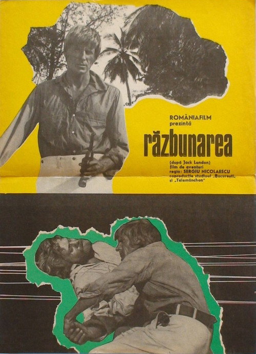 Movie poster for The Revenge (1973)