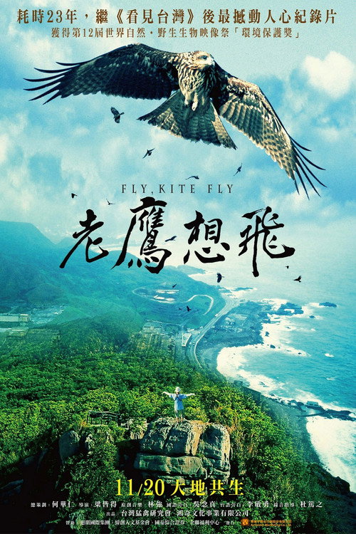 Movie poster for Fly, Kite Fly (2015)