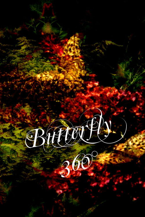Movie poster for Butterfly 360° (2020)