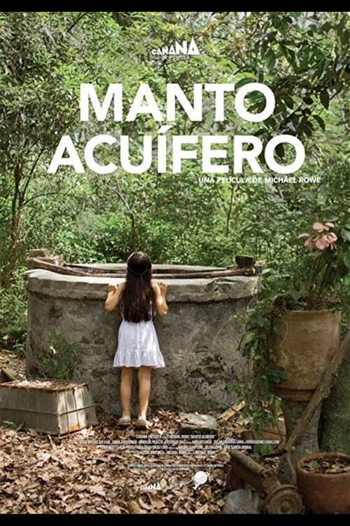 Movie poster for The Well (2013)