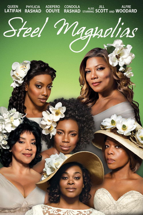Movie poster for Steel Magnolias (2012)