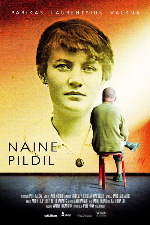 Movie poster for The Woman in the Picture (2017)