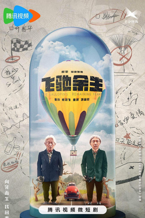 飞驰余生 poster