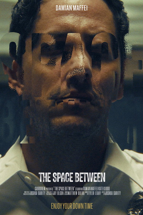 Movie poster for The Space Between