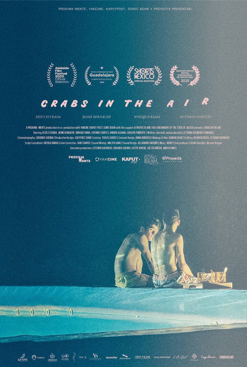 Movie poster for Crabs in the Air (2025)