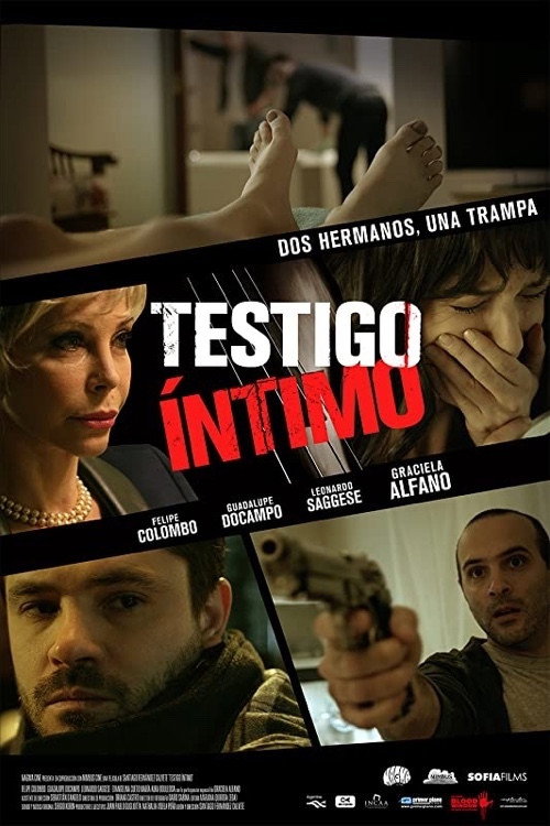 Movie poster for Intimate Witness (2015)