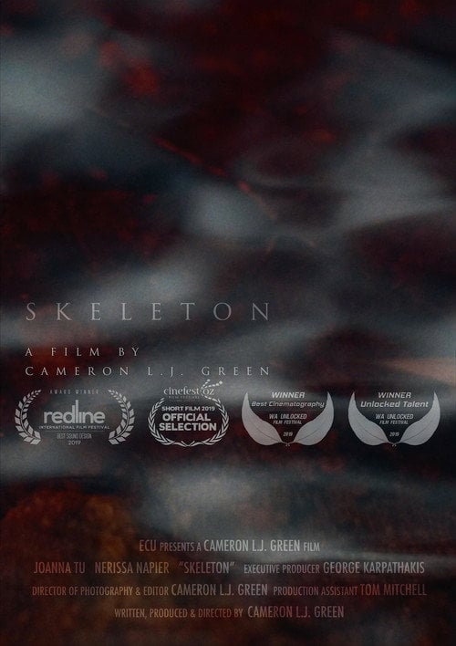 Movie poster for Skeleton (2019)