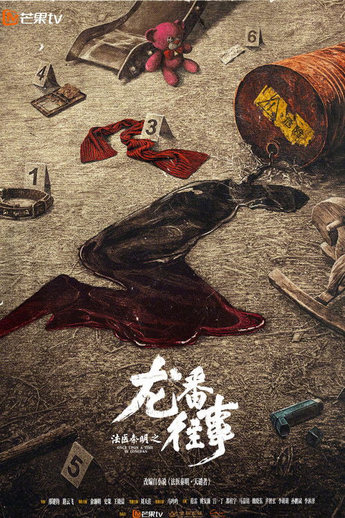 Once Upon a Time in Longfan poster