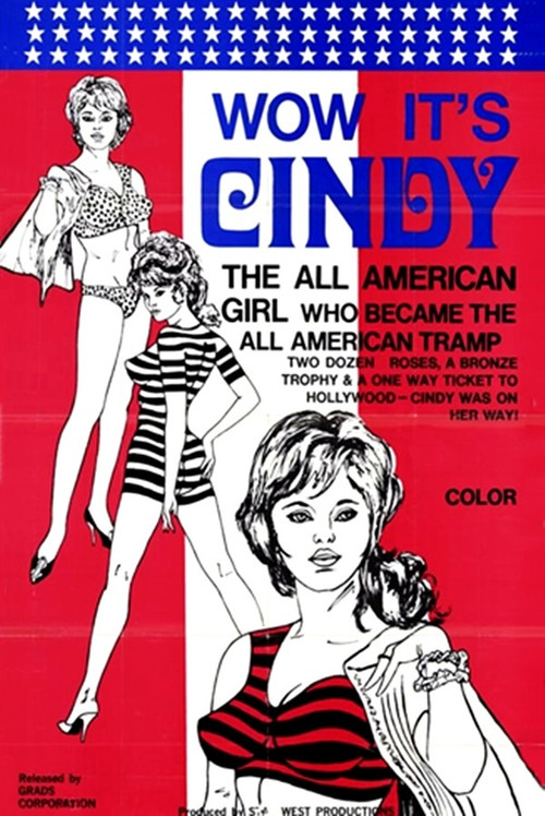 Movie poster for Wow, It's Cindy (1971)