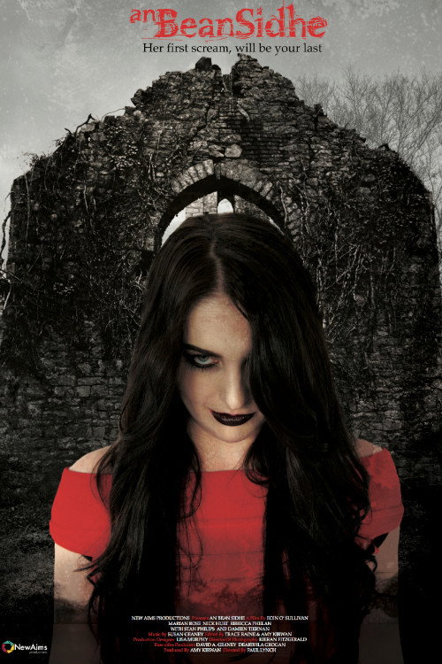 Movie poster for An Bean Sidhe (2014)