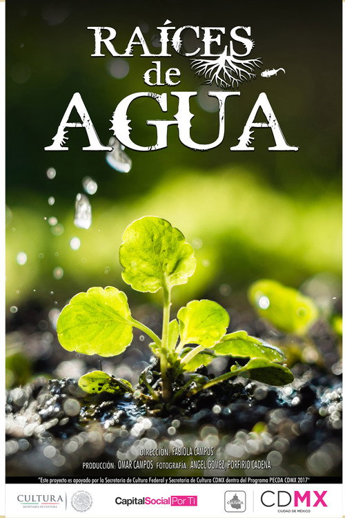 Movie poster for Raíces de Agua