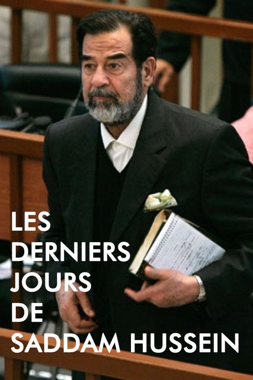 Movie poster for Les Derniers Jours de Saddam Hussein (2017)