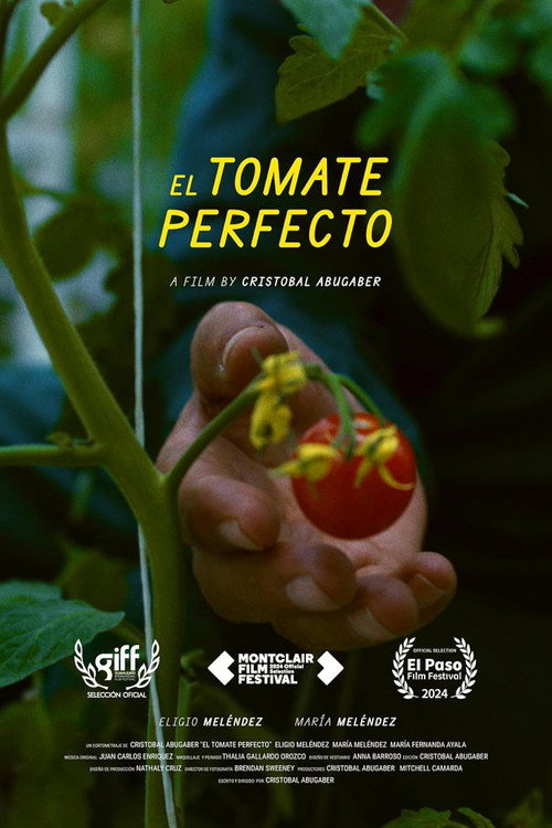 Movie poster for The Perfect Tomato (2024)