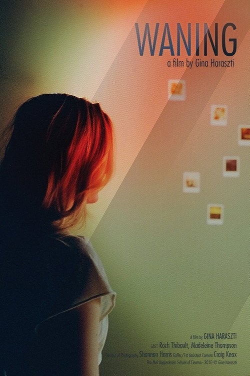 Movie poster for Waning (2011)