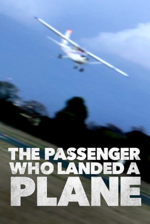 Movie poster for Mayday: The Passenger Who Landed a Plane (2014)