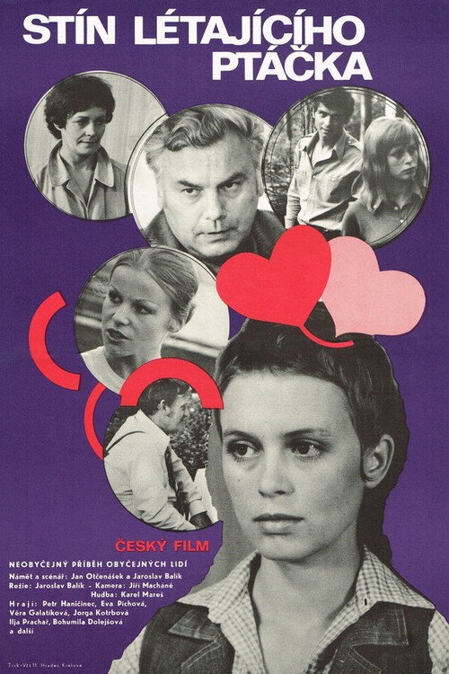 Movie poster for Shadow of a Flying Bird (1977)
