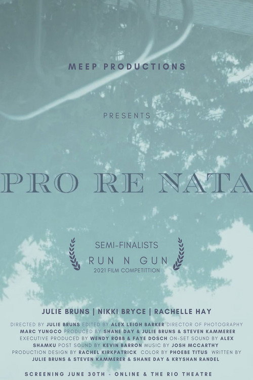 Movie poster for Pro Re Nata