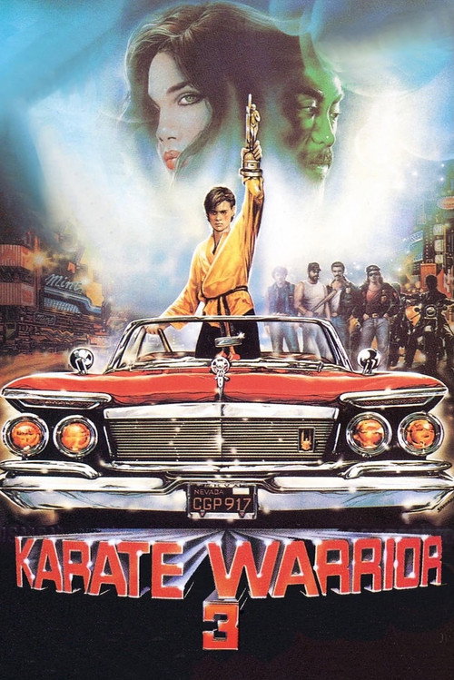Movie poster for Karate Warrior 3 (1991)