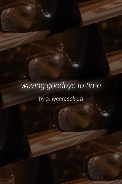 Movie poster for waving goodbye to time (2020)