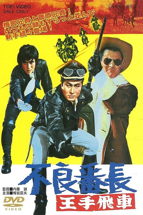 Movie poster for Wolves of the City: Checkmate (1970)