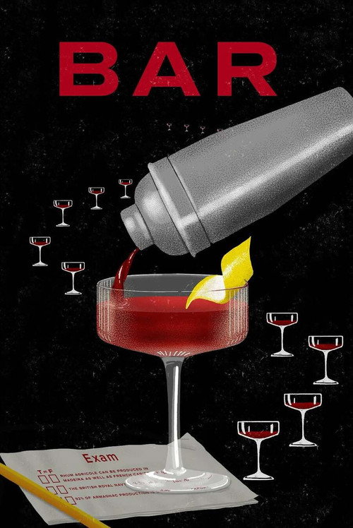 Movie poster for Bar (2025)