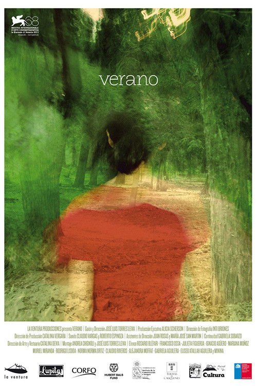 Movie poster for Verano (2011)