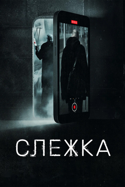Movie poster for Surveillance (2023)